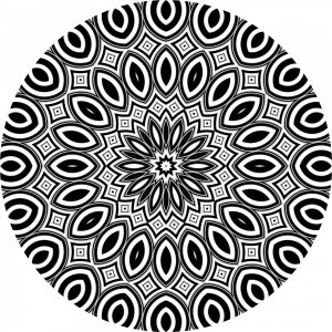 Black and White Flower